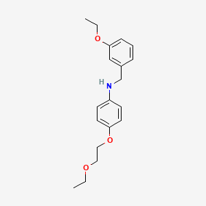 N-(3-Ethoxybenzyl)-4-(2-ethoxyethoxy)aniline