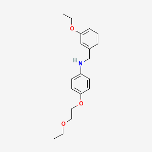 molecular formula C19H25NO3 B1385612 N-(3-Ethoxybenzyl)-4-(2-ethoxyethoxy)aniline CAS No. 1040687-12-4