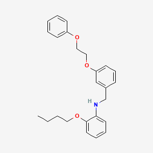 2-Butoxy-N-[3-(2-phenoxyethoxy)benzyl]aniline