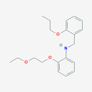 molecular formula C20H27NO3 B1385627 2-(2-Ethoxyethoxy)-N-(2-propoxybenzyl)aniline CAS No. 1040691-24-4