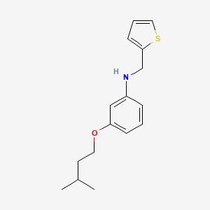 molecular formula C16H21NOS B1385640 3-(Isopentyloxy)-N-(2-thienylmethyl)aniline CAS No. 1040684-22-7