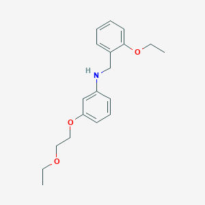 N-(2-Ethoxybenzyl)-3-(2-ethoxyethoxy)aniline
