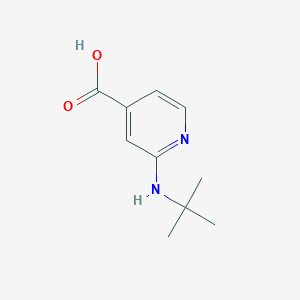molecular formula C10H14N2O2 B1385722 2-(Tert-butylamino)isonicotinic acid CAS No. 1019387-62-2