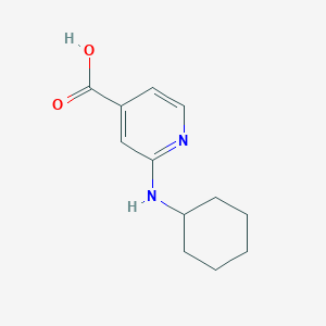 molecular formula C12H16N2O2 B1385726 2-(シクロヘキシルアミノ)イソニコチン酸 CAS No. 1019461-35-8