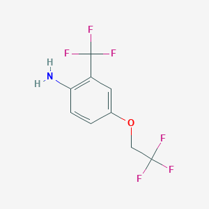 molecular formula C9H7F6NO B1385727 4-(2,2,2-Trifluoroethoxy)-2-trifluoromethylphenylamine CAS No. 1019441-72-5