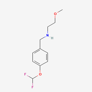 molecular formula C11H15F2NO2 B1385779 {[4-(Difluoromethoxy)phenyl]methyl}(2-methoxyethyl)amine CAS No. 1019603-63-4