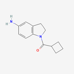 molecular formula C13H16N2O B1385824 1-Cyclobutanecarbonyl-2,3-dihydro-1H-indol-5-amine CAS No. 1019498-56-6