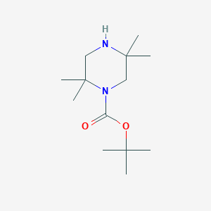 Tert-butyl 2,2,5,5-tetramethylpiperazine-1-carboxylate