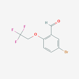 molecular formula C9H6BrF3O2 B1385906 5-Bromo-2-(2,2,2-trifluoroethoxy)benzaldehyde CAS No. 923281-72-5