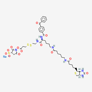 molecular formula C45H58N7NaO13S4 B13859305 2-{N2-[NAlpha-Benzoylbenzoicamido-N6-6-biotinamidocaproyl]lysinylamido}ethyl-2'-(N-sulfosuccinimidylcarboxy)ethyl Disulfide Sodium Salt 