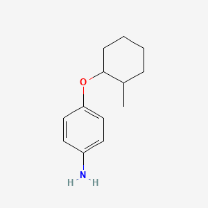 molecular formula C13H19NO B1386117 4-[(2-Methylcyclohexyl)oxy]aniline CAS No. 94661-10-6