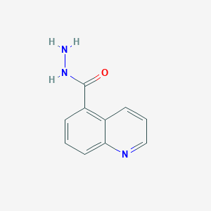 molecular formula C10H9N3O B1386184 Quinoline-5-carbohydrazide CAS No. 96541-83-2