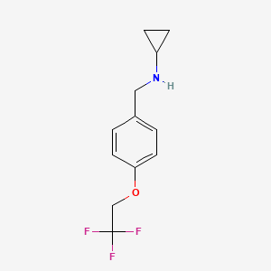 molecular formula C12H14F3NO B1386192 N-{[4-(2,2,2-trifluoroethoxy)phenyl]methyl}cyclopropanamine CAS No. 1095127-74-4
