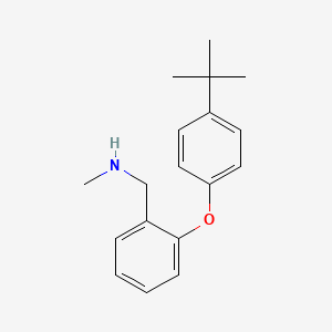molecular formula C18H23NO B1386194 N-[2-(4-tert-Butylphenoxy)benzyl]-N-methylamine CAS No. 1095104-40-7