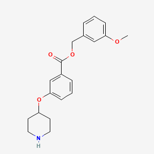 molecular formula C20H23NO4 B13863587 (3-Methoxyphenyl)methyl 3-piperidin-4-yloxybenzoate 