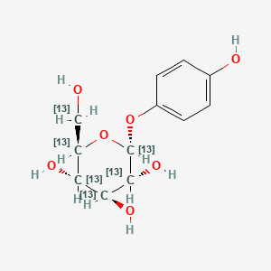 alpha-Arbutin-13C6