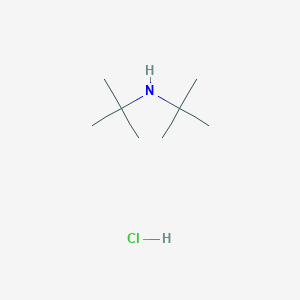 molecular formula C8H20ClN B13864151 Di-tert-butylamine Hydrochloride 