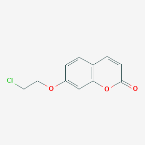 molecular formula C11H9ClO3 B13864761 7-(2-Chloro-ethoxy)-chromen-2-one 