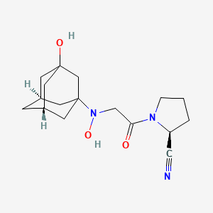 molecular formula C17H25N3O3 B13864873 N-Hydroxy Vildagliptin 