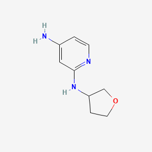 2-N-(oxolan-3-yl)pyridine-2,4-diamine