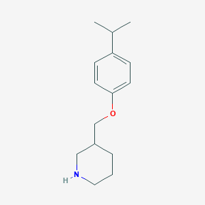 molecular formula C15H23NO B1386636 3-[(4-Isopropylphenoxy)methyl]piperidine CAS No. 946680-24-6