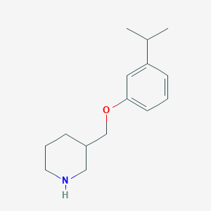 3-[(3-Isopropylphenoxy)methyl]piperidine