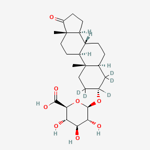 molecular formula C25H38O8 B13867679 Androsterone 3-beta-glucuronide D5 