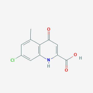 molecular formula C11H8ClNO3 B13868802 7-chloro-5-methyl-4-oxo-1H-quinoline-2-carboxylic acid 