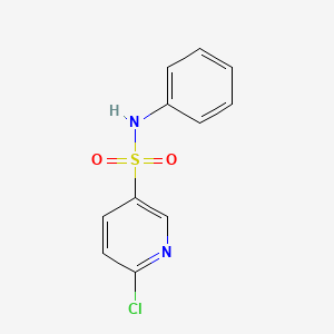 molecular formula C11H9ClN2O2S B13869334 6-chloro-N-phenylpyridine-3-sulfonamide 