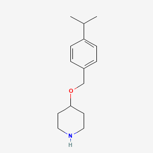 molecular formula C15H23NO B13869421 4-[(4-Propan-2-ylphenyl)methoxy]piperidine 