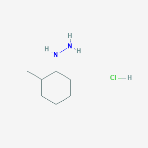molecular formula C7H17ClN2 B1386993 (2-Methylcyclohexyl)hydrazine hydrochloride CAS No. 1206675-32-2