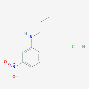 molecular formula C9H13ClN2O2 B1386994 (3-Nitrophenyl)propylamine hydrochloride CAS No. 1201633-51-3