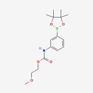 molecular formula C16H24BNO5 B13870073 2-methoxyethyl N-[3-(4,4,5,5-tetramethyl-1,3,2-dioxaborolan-2-yl)phenyl]carbamate 