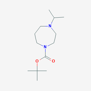 molecular formula C13H26N2O2 B13870168 Tert-butyl 4-isopropyl-1,4-diazepane-1-carboxylate 