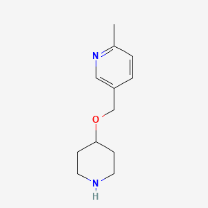 2-Methyl-5-(piperidin-4-yloxymethyl)pyridine