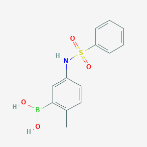 molecular formula C13H14BNO4S B13870301 [5-(Benzenesulfonamido)-2-methylphenyl]boronic acid 