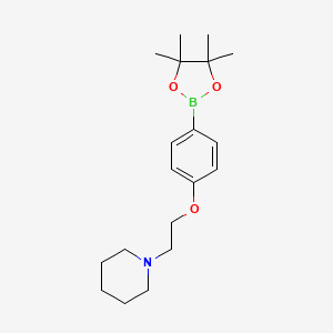molecular formula C19H30BNO3 B1387040 1-(2-(4-(4,4,5,5-Tetramethyl-1,3,2-dioxaborolan-2-yl)phenoxy)ethyl)piperidine CAS No. 934586-49-9