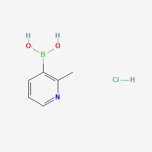 molecular formula C6H9BClNO2 B1387070 (2-Methylpyridin-3-yl)boronic acid hydrochloride CAS No. 1072952-34-1
