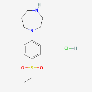 molecular formula C13H21ClN2O2S B1387133 1-[4-(Ethylsulphonyl)phenyl]homopiperazine hydrochloride CAS No. 1170944-34-9