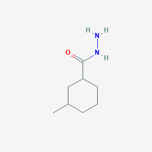 molecular formula C8H16N2O B13871515 3-Methylcyclohexane-1-carbohydrazide 