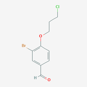 molecular formula C10H10BrClO2 B13872264 3-Bromo-4-(3-chloropropoxy)benzaldehyde 