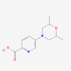 molecular formula C12H16N2O3 B13873287 5-(2,6-Dimethylmorpholin-4-yl)pyridine-2-carboxylic acid 