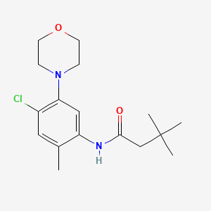 molecular formula C17H25ClN2O2 B13873861 N-(4-chloro-2-methyl-5-morpholin-4-ylphenyl)-3,3-dimethylbutanamide 