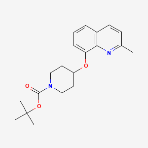 molecular formula C20H26N2O3 B13874816 Tert-butyl 4-(2-methylquinolin-8-yl)oxypiperidine-1-carboxylate 