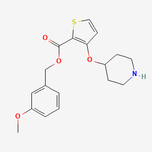 molecular formula C18H21NO4S B13876011 (3-Methoxyphenyl)methyl 3-piperidin-4-yloxythiophene-2-carboxylate 