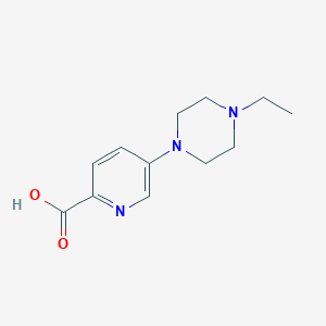 molecular formula C12H17N3O2 B13876716 5-(4-Ethylpiperazin-1-yl)pyridine-2-carboxylic acid 