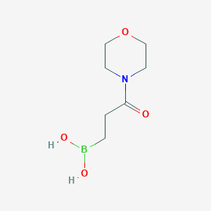 molecular formula C7H14BNO4 B13876841 (3-Morpholin-4-yl-3-oxopropyl)boronic acid 