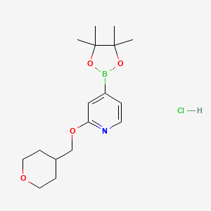 molecular formula C17H27BClNO4 B13877201 2-(Oxan-4-ylmethoxy)-4-(4,4,5,5-tetramethyl-1,3,2-dioxaborolan-2-yl)pyridine;hydrochloride 