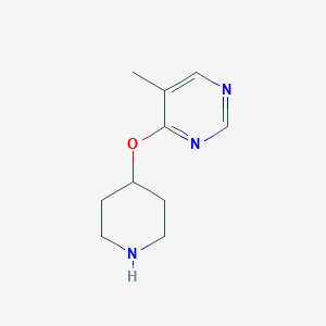 molecular formula C10H15N3O B13877434 5-Methyl-4-piperidin-4-yloxypyrimidine 