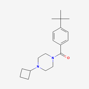 (4-tert-Butyl-phenyl)-(4-cyclobutyl-piperazin-1-yl)-methanone